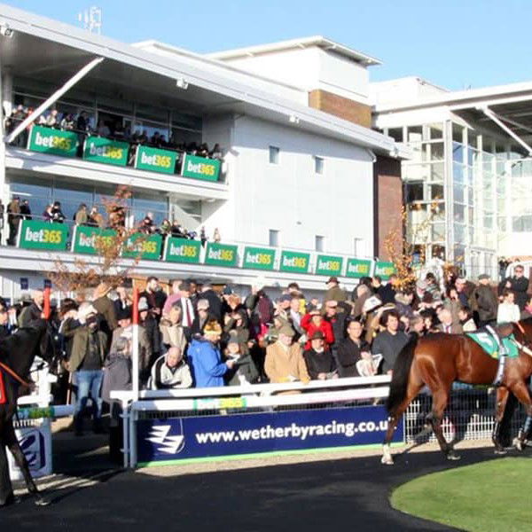 wetherby races2 800x600 uai